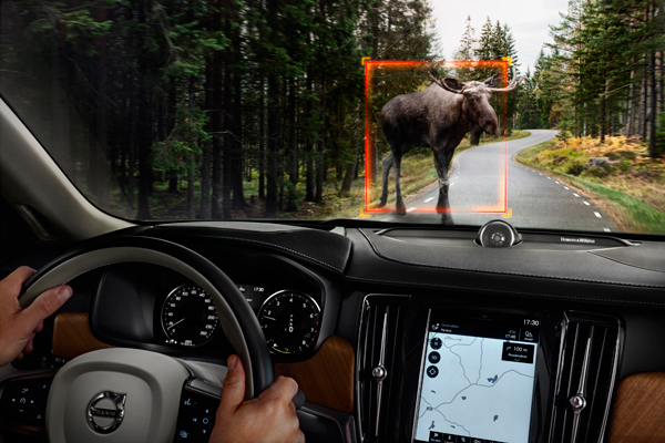 Volvo Interior Large Animal Detection