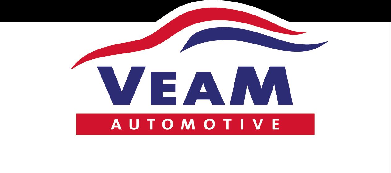 VEAM logo fc-websiteformaat