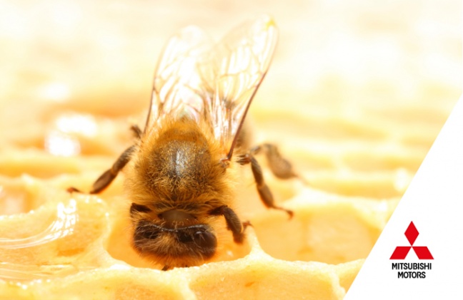 Mitsubishi Motors zet zich in voor de bijen – én de bloemen