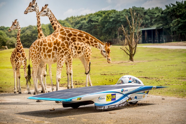 Nuna op Safari als voorbereiding op de Sasol Solar Challenge