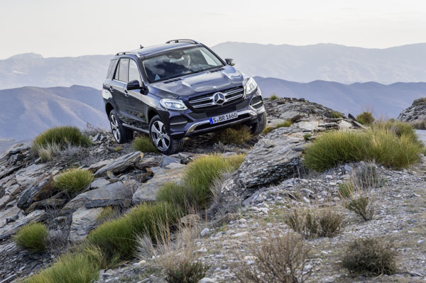 Mercedes-Benz GLE AMG GLE 63 black rocks