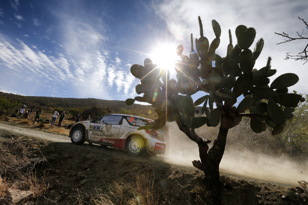 Citroen Meeke Mexico 2015 side