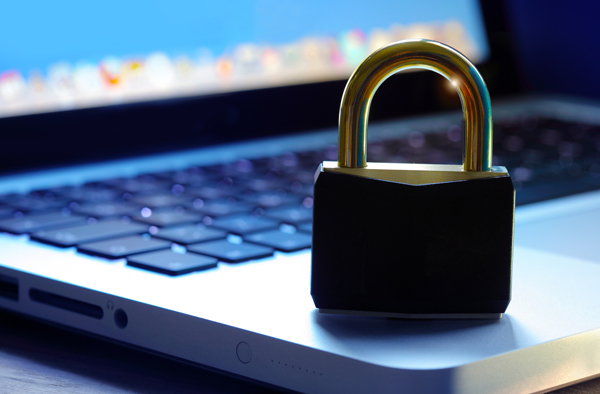 Data Privacy column