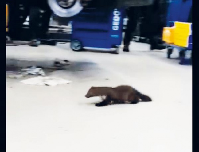 Onverwacht bezoek in de werkplaats bij Terwolde Renault!