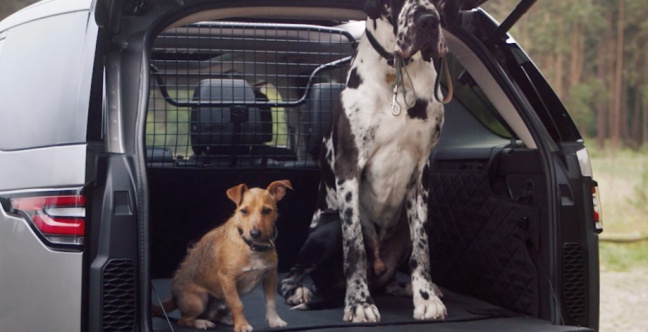 LAND ROVER presenteert speciale reclamecampagne voor honden