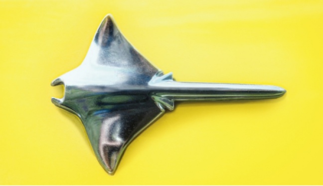 Opel-legende wordt 50: &lsquo;A Fish called Manta&rsquo;